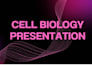 design modern presentation and certificates